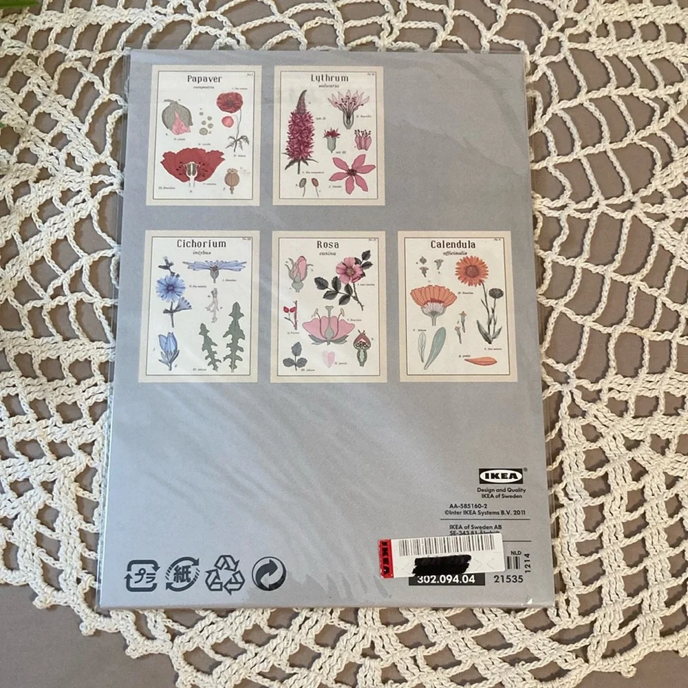 New IKEA Vintage Flowers Botanical Prints Set By Maria Mendez